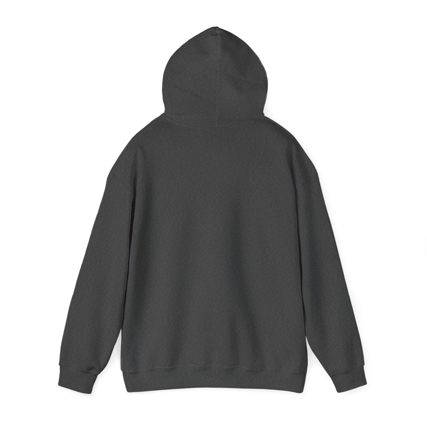 Akhira Heavy Blend™ Hooded Sweatshirt